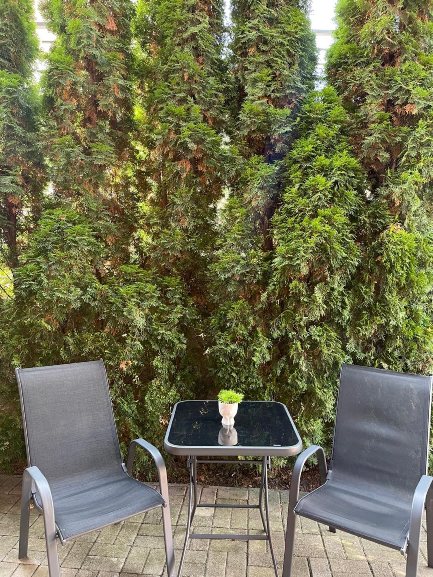 Apartman Gagi Zlatibor Esterno foto